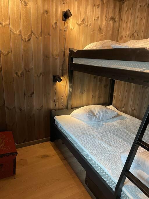 Ski In/Out, Amazing Views, 3 Bedrooms Noresund Extérieur photo